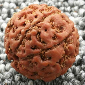 uXbg jp p 6 7 8 9 f  bh(x2)