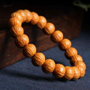 uXbg Y fB[X ?j Ŏ  ؐ  T̃q X^C  yA ANZT[