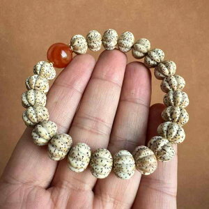 uXbg Y jp  x i`  nhCh ANZT[  O p[Xg[  ^ bL[ACe(x2)