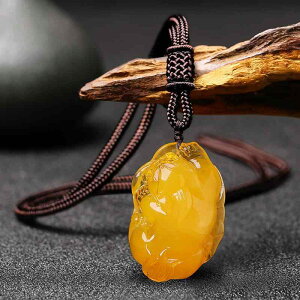 lbNX fB[X Y H  v {  y_g ANZT[ 􉽊w͗l ی` R h  킢