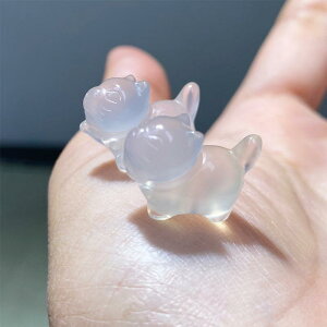 lbNX fB[X Y   L y_g gbv Aj}`[t ANZT[ WG[ 킢(x2)