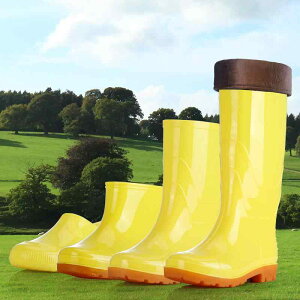 Cu[c Y fB[X Hip qC h  Lb` ~[   V[g [Nu[c h  ۉ h EhgD  zCg F CG[1