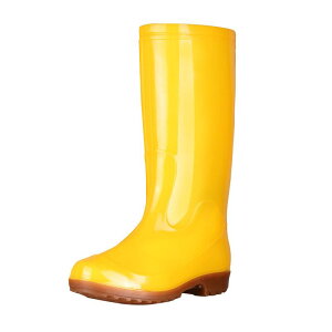 JC Y fB[X   Hi ϖ ~ [Nu[c ~[ ƌC {Y   CG[1