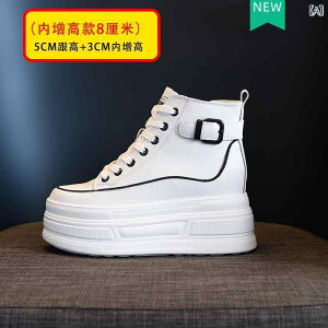 Xj[J[ fB[X  nCJbg JWA q[Abv V[gu[c H~ U[ ؂ւ EhgD  