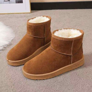 Xm[u[c fB[X hu[c v t@[ ~h ~  g ~p JWA