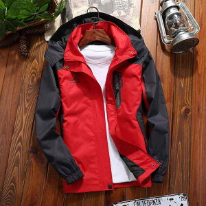 }Eep[J[ Y fB[X  h h AE^[ tH~ oREFA AEghAEFA gbLOEFA h  WPbg jp