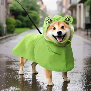���i�摜
