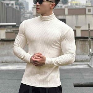 T�V���c �j���p �H�~ �n�C�l�b�N �X�g���C�v �C���i�[ �E�F�A ���� �h�� �������� �g�b�v�X �J�b�g�\�[ �g���[�j���O �W�� �^���� �|���G�X�e��