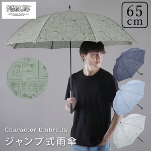 65cm JP PEANUTS Y jZbNX LN^[Au Wv P EbhXgbN Xk[s[yRCPzyyMt_Iz| WvP 傫 o^C 2025N ̓Mtg 
