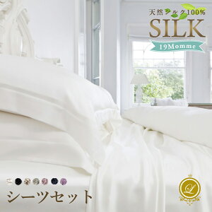 VN100% 19 Jo[ytz 􂦂 I[KjbNVNyX^_[hzyLOzs[P[X ܂Jo[ P[X V[c VNJo[ sP[X ێ ʋCK q