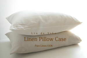 l Jo[MTCY 43x63cm / sP[X { k i` Vv t`l  100 H ~ t 