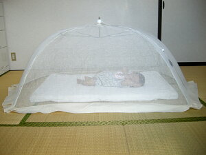 ᒠ ^b` xr[ { Ԃ y{  XL[glbg 悯  Qh~   J Sn悢 t āz