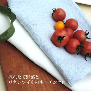 ̃l cC Lb`NX aHTCY {  100 z  ₷ v