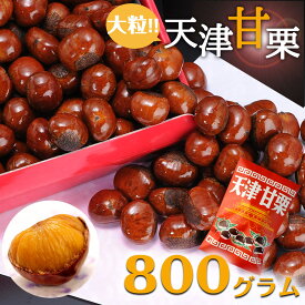 送料無料　無添加　新栗　天津甘栗　800g　大粒　甘栗 　栗 スイーツ 和菓子 お菓子 秋 栗レシピ マロン 菓子　あまぐり