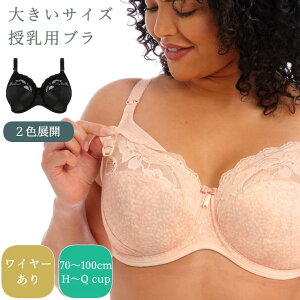 傫TCY puy\z UW}^jeBu C[pu O}[TCY2FWJ gJbv hJbv iJbv jJbv kJbv nJbv mJbv oJbv pJbv Molly by Elomi e