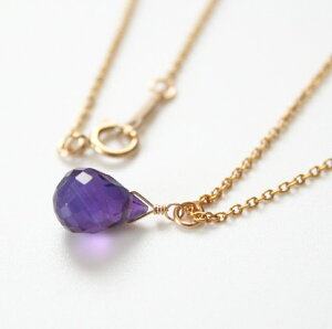 AWXg ꗱ lbNXiuIbgJbgj14KGF VR ANZT[ S[htBh WG[ Jbg p[v 