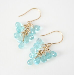 u[Ap^Cg tW sAX 14KGF S[htBh WG[ VR ANZT[ [sAX uIbgJbg @ׂ nhCh