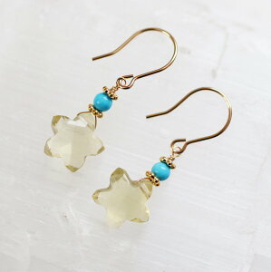 ^ NH[c ^[RCY sAXiX^[Jbgj14KGF VR ANZT[ S[htBh WG[  nhCh