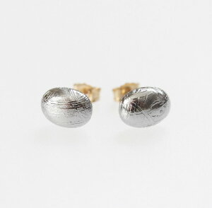 【再入荷】メテオライト(ムオニナルスタ 隕石)一粒 ピアス(オーバル )14KGF スタッドピアス パワーストーン 天然石アクセサリー ゴールドフィルド ジュエリー プチピアス カボション パ