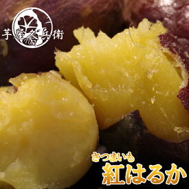 茨城県産 紅はるか さつまいも S,Mサイズ 5kg サツマイモ まとめ買い セット 大容量 食材 野菜 自社農場 自社栽培 スイーツ 料理 芋【送料無料】