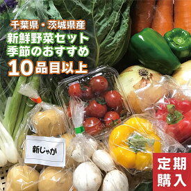 【初回半額】千葉・茨城県産 野菜セット 定期購入 10品目以上 産直 産地直送 国産 ギフト 新鮮 採れたて 野菜 夏季はクール便