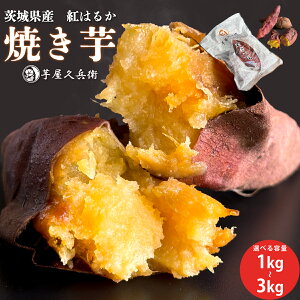 錧Y g͂邩 vq Ⓚ Ă  Zbg Iׂe 500g×2(1kg) 500g×4܁i2kg) Ă n Ǐn Z ܂ Y Ѝ͔| Д_ ˂Ƃ Ƃ XC[c 