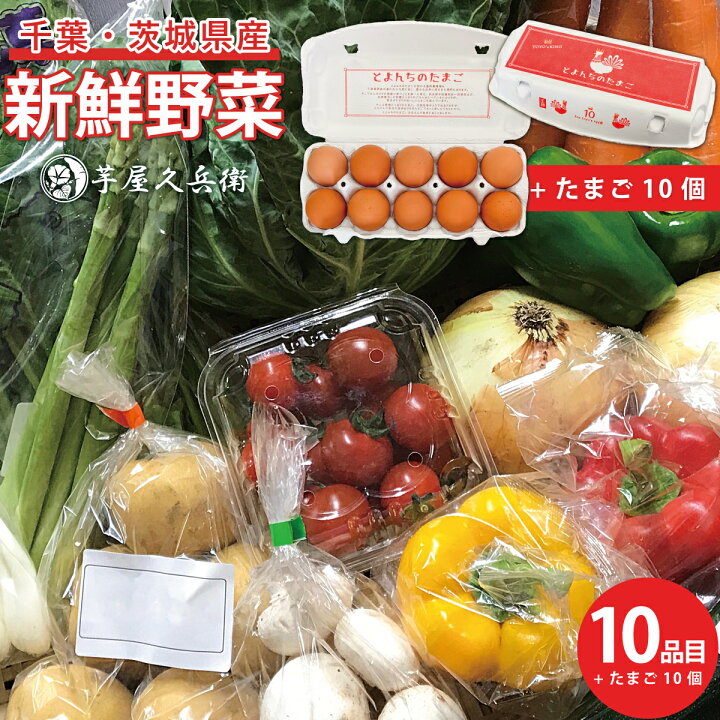 楽天市場】【千葉県・茨城県産】旬 詰め合わせ野菜セット 10品目 産直 