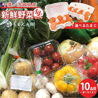 【千葉県・茨城県産】旬 詰め合わせ野菜セット 10品目 産直 産地直送 国産 新鮮 採れたて 野菜 たまご 卵…