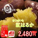 茨城県産 紅はるか さつまいも S,Mサイズ 5kg 送料無料