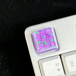 �k�L�[�L���b�v�l�ʕ� Keycap �������� �L�[�L���b�v ���J�j�J���L�[�{�[�h�p �L�[ �����p PC�A�N�Z�T���[ �p�\�R�����Ӌ@�� ������� ���킢�� ���J�j�J���L�[�{�[�h �V���v�� �p��z�� ����