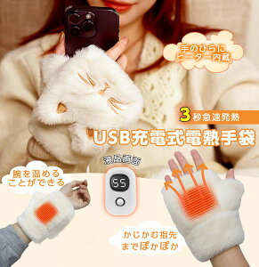 dM dMO[u L  USBڑŉM  3000mAh LEDtfBXvC 3iKx wȂ g[ q[^[O[u p\R jp Ci[O[u h΍ 
