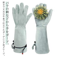 ガーデニンググローブ バラ トゲ 薔薇用手袋 長袖 ロング 薔薇グローブ 園芸用手袋 レディース メンズ バ…