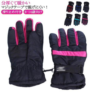 LbY Xm[O[u ~g XL[O[u WjA V  O[u ~g Xm[{[h O[u Xm{[ Xm{O[u xr[ j̎q ̎q 8-14Ό jq q q XL