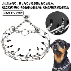  Pp pvOJ[  `F[ XeX  p g[jO ȒP ˃Jo[tpXpCNs`J[ pi UObY    