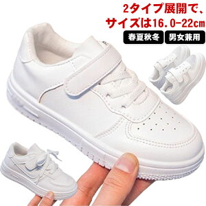 _XV[Y X|[c C  Xj[J[ LbY JWA V[Y q Cxg K n jp ^C i w ʉ ʊw y  qC LbY _X ʋC hL 