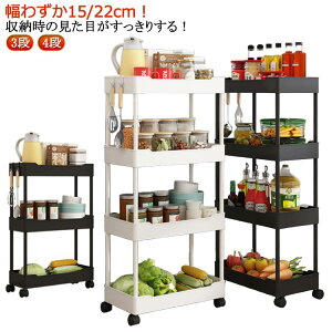 [ X 22cm 15cm ԃbN S Lb`Ԏ[   Ԏ[S X[   [S LX^[t  [bN RpNg  ʏ Lb`