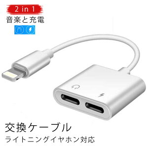 ϊP[u iPhone11 2in1 Pro P[u ϊP[u iPad CgjO A_v^[ Cz RlN^[ iPhone Lighting iPhone [d yĐ [d iPhone11 CgjO Max iPhoneXS iPhone XR iPhone X iO