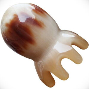 }bT[W uV  wbh}bT[W wbhXp PA Vv[uV pI GX p wAPA