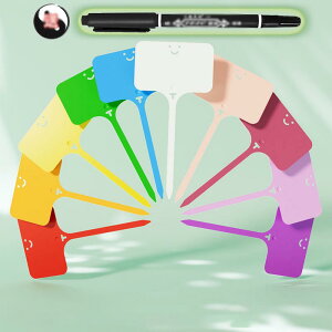 |px 100Zbg K[fjOpi |pi T^ Ap^O l[v[g t[x l[^O K[f Ԓd A 