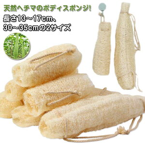 VRw`} {fBX|W C V[ w`}킵 wp ւ܃X|W oXX|W {fB^I ̐  C ւ Z ɗD A \tg }bT[W 