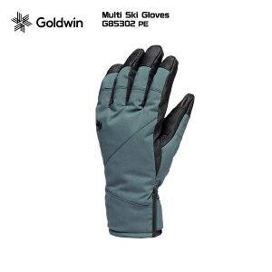 2025-26 GOLDWINiS[hEBjMulti Ski Glovesi}`XL[O[uj/ G85302-PE/s[^[-yXm[O[u/ʌz