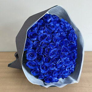 o u[[Y KN KN  ԑ KNԑ ỏԑ KN̉ԑ o o 108{ ԑv[g ΂  t[u[P a  j Mtg LO v