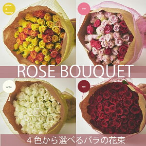 ỏԑ o ԑ 30{ ` {w KN̉ԑ bZ[WJ[h KNԑ o ΂ o KN  108{ 100{ 50{ ԑv[g  sN F IW t[u[P  u