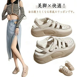 y Xb| ₷  Od i[XV[Y JWA ʋC  ʊw r fB[X T_ ʋ  bV ~ ₷