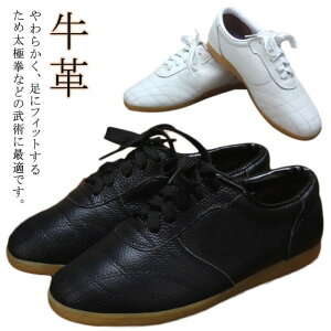 V[Y Jt[pC Y p C fB[X ɌV[Y eRh[ C Jt[ \tgU[ Ɍ LbY Xj[J[ X|[cXj[J[ Jt[ \ zCg v 