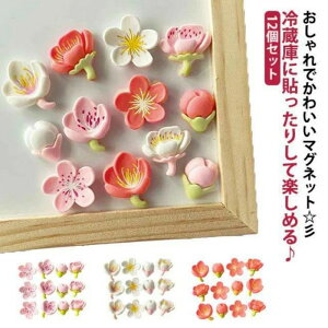 ①Ƀ}Olbg  ԕ 12Zbg G CeA k Vv Lb` ~j}Olbg Xe[Vi[ i` }Olbg  킢 ①     }