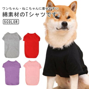 Rbg  Vv 킢   ybg   t ĕ JWA ̕ ^  ybg  hbOEGA n TVc [EFA ybgEFA ^ pTV