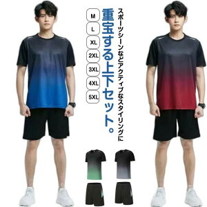 fB[X W X|[cEFA n[tpc hC  ʋC y jOEFA 2_Zbg g[jOEFA   t TVc z ㉺Zbg jOEF