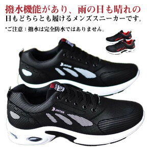 JWAXj[J[ C ʋ St [XAbv X|[c Xj[J[ rWlX J΍ h jO Xj[J[  v ʊw Y ^C JWAV[Y ₷ y