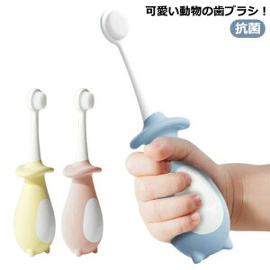 _炩 qǂ xr[ c yM   R qpuV 炩 uV uV qp  c LbY oYj Ԃ  iv v[g 킢 Mtg